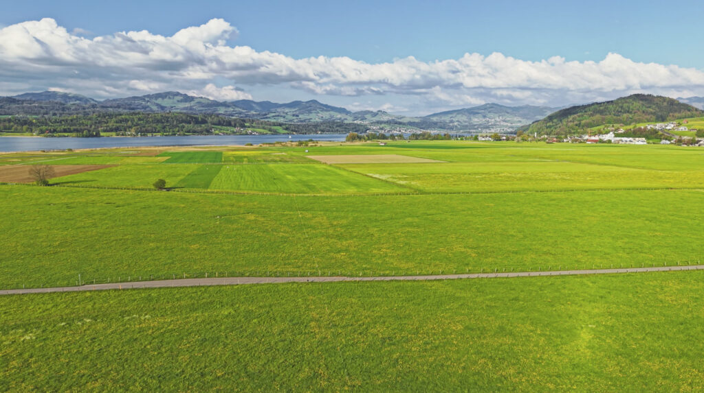 Weite grüne Allmeind mit Blick auf den Zürichsee