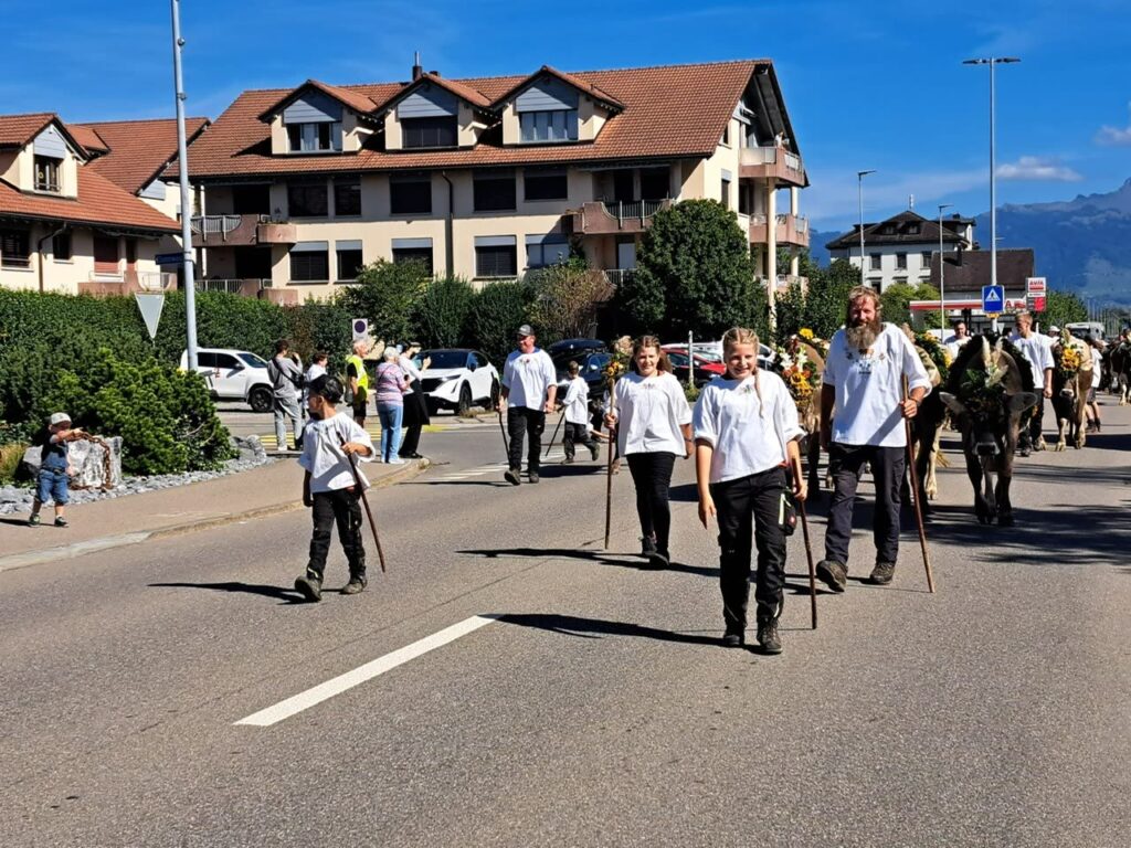 Älplerfamilie mit Kindern in weissen Hemden und Hirtenstöcken an der Alpabfahrt 2026 in Wangen, rechts das geschmückte Vieh