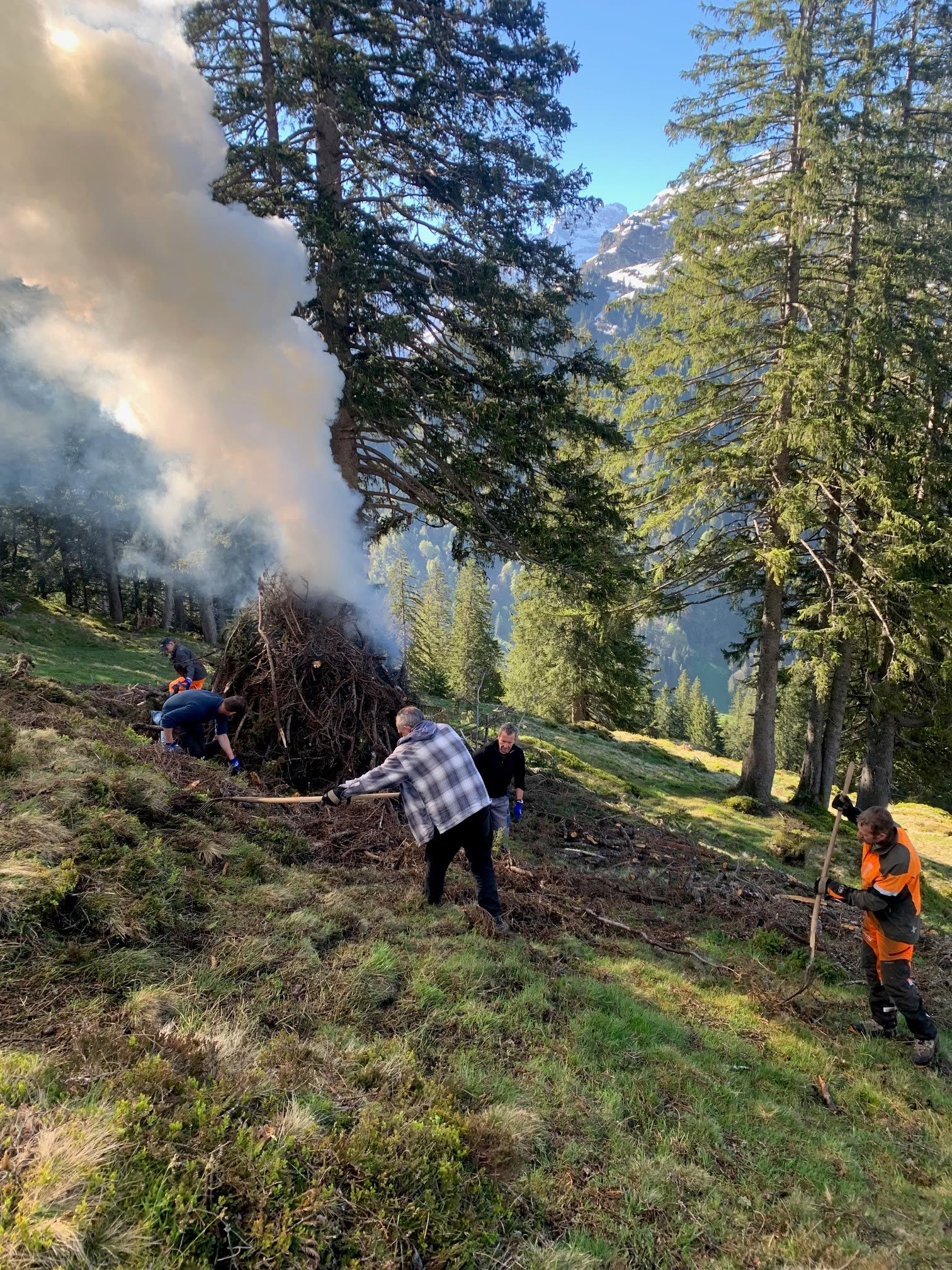 Helfer verbrennen Asthaufen am Bergwaldhang, starker Rauch, Tannen
