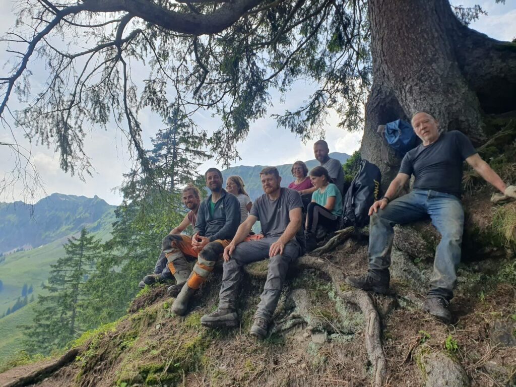 Bergwaldprojekt-Gruppe unter Tanne