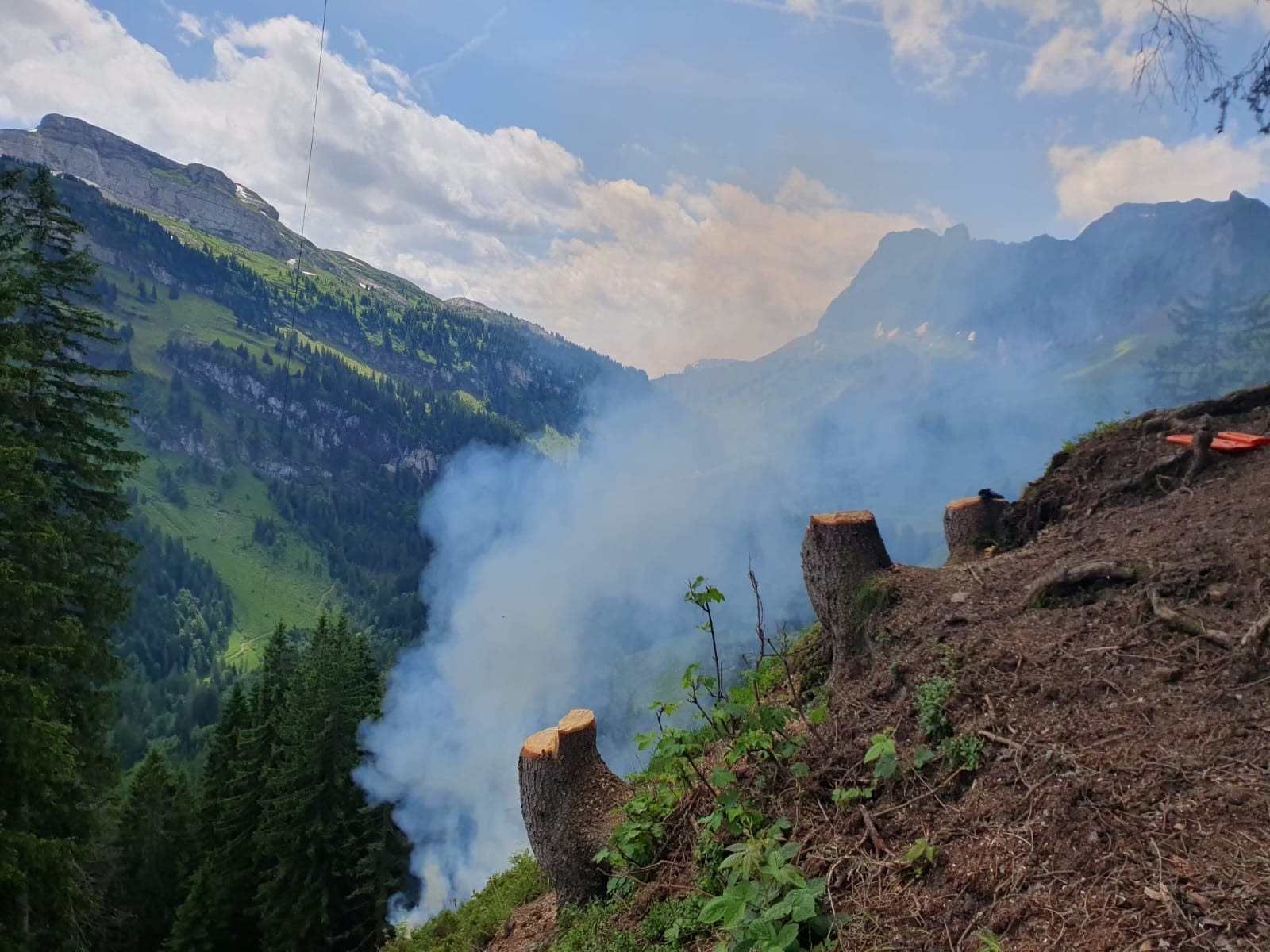 Rauch über dem gerodeten Bergwaldhang der Brüschalp mit frischen Baumstrünken, Bergkette im Hintergrund