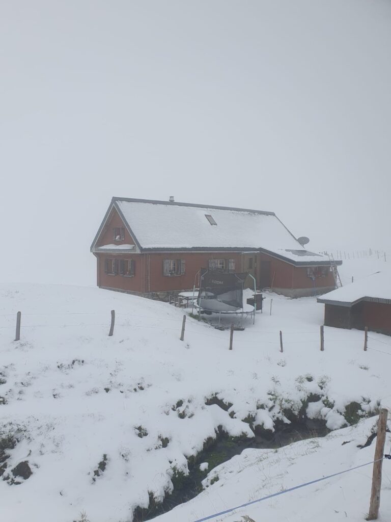 verschneite Alphütte Brüschalp im Nebel, Zaun im Schnee (13.09.2024)