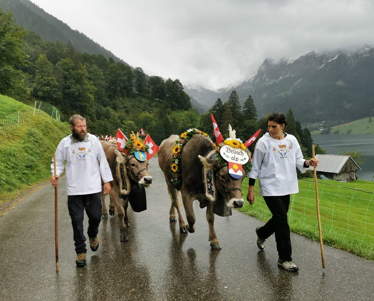 Alpabfahrt 2024 bei Regen – Älpler führen geschmückte Kühe mit Fähnchen am Wägitalersee