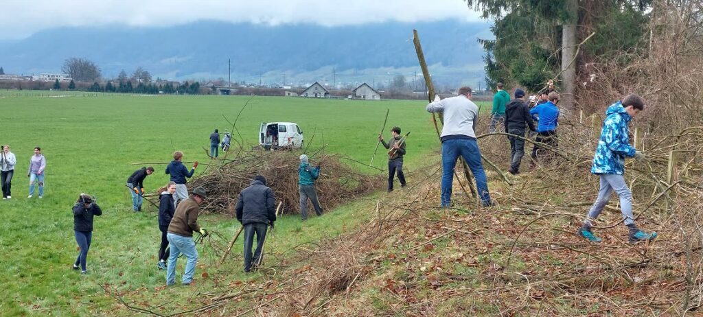 Kantischüler beim Naturschutzeinsatz an Hecke/Graben am Feldrand, Ebene dahinter