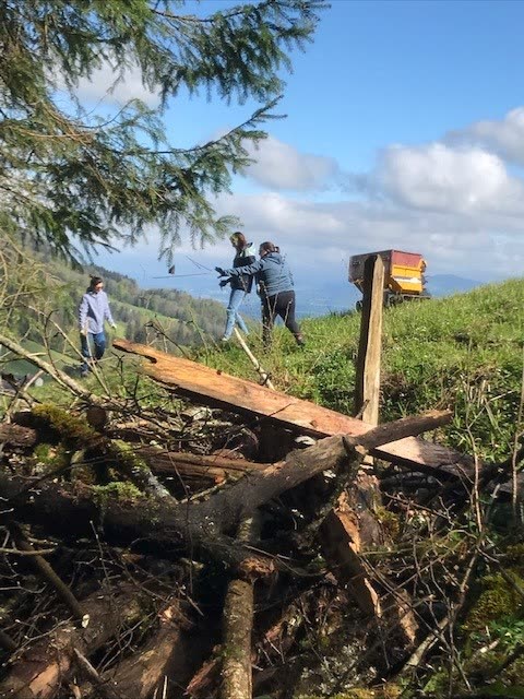 Asthaufen und Holzschilder im Vordergrund, Helfer am Waldrand auf Anhöhe
