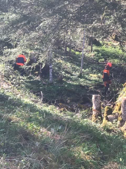 Neubürgertag 2025 – Helfer in orangen Jacken arbeiten im steilen Waldhang