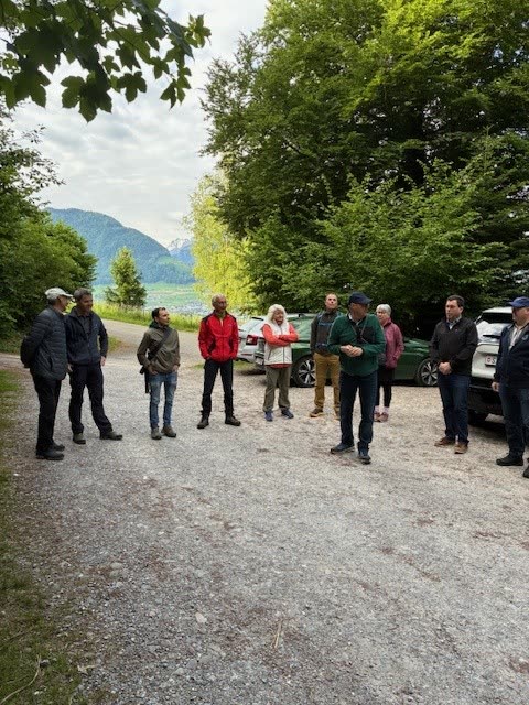 Gruppe auf Waldweg mit Blick auf Linthebene und Berge