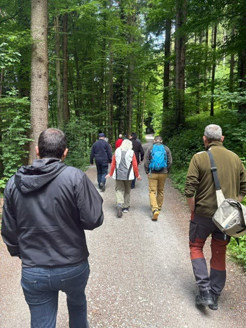 Waldspaziergang 2025 – Gruppe geht auf Kiesweg durch Hochwald (Buechberg)