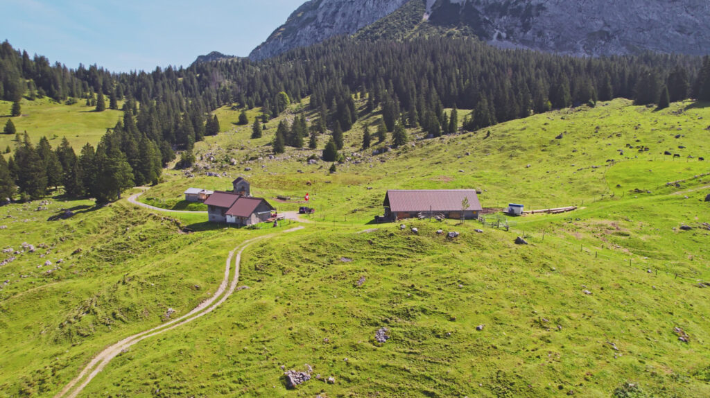 Alp Feldredeten mit Hütten und Weg