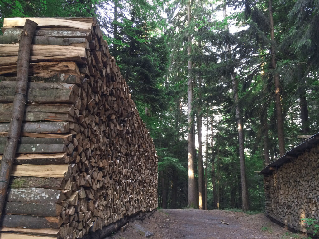 Langer Stapel aus gespaltenem Brennholz an einem Waldweg
